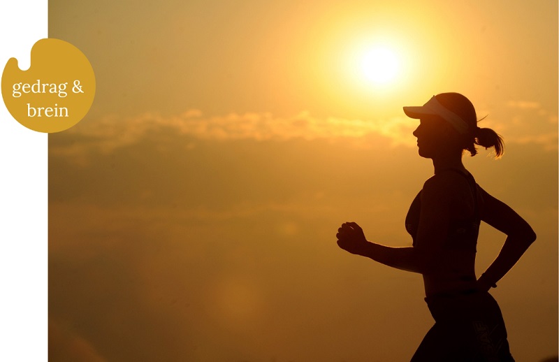 Begin met het waarom